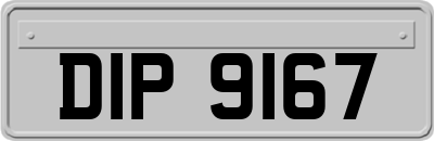 DIP9167
