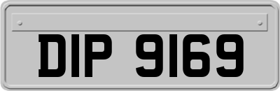 DIP9169