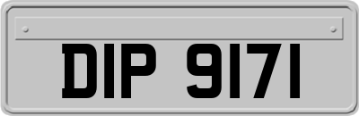 DIP9171