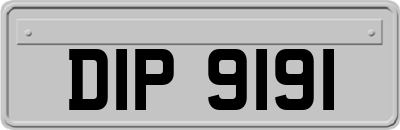 DIP9191