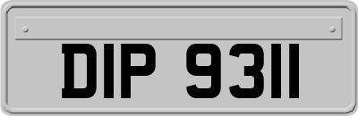 DIP9311
