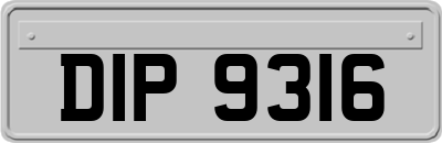 DIP9316