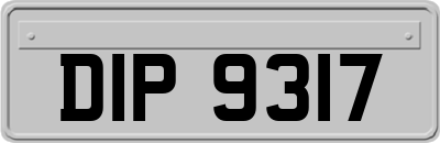 DIP9317