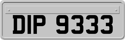 DIP9333