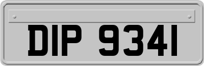 DIP9341