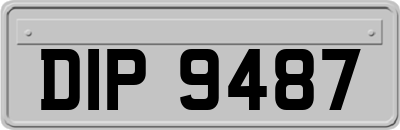 DIP9487