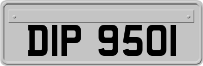 DIP9501