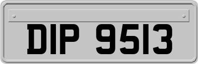 DIP9513