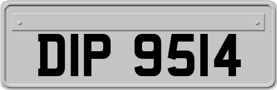 DIP9514