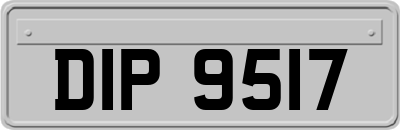 DIP9517