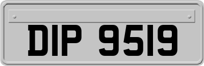 DIP9519