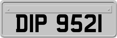 DIP9521