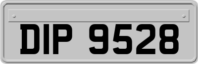 DIP9528