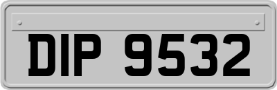 DIP9532