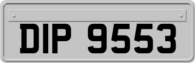 DIP9553