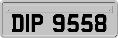 DIP9558