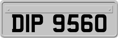DIP9560