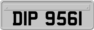 DIP9561