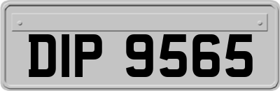 DIP9565