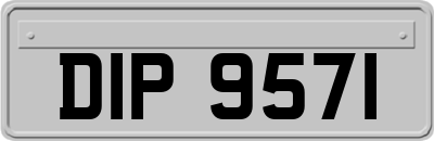 DIP9571