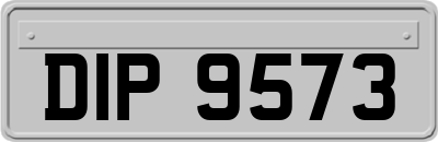 DIP9573