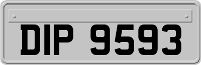 DIP9593