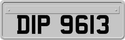 DIP9613