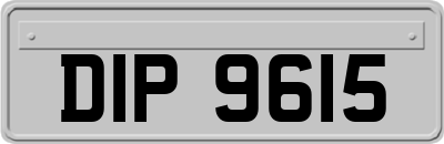 DIP9615