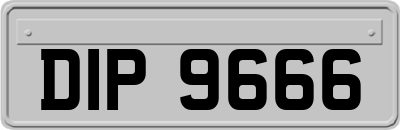 DIP9666
