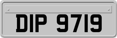 DIP9719