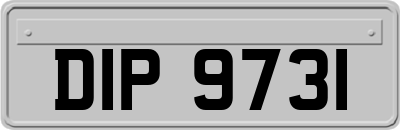 DIP9731