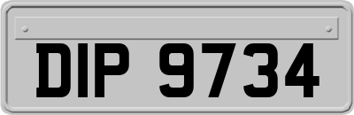 DIP9734
