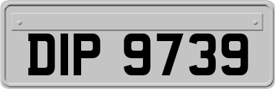 DIP9739