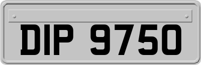 DIP9750