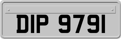 DIP9791