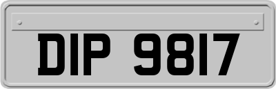 DIP9817