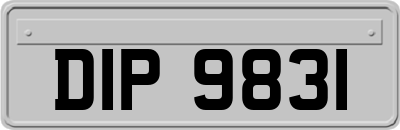 DIP9831