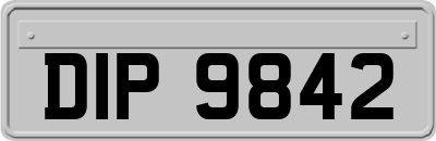 DIP9842