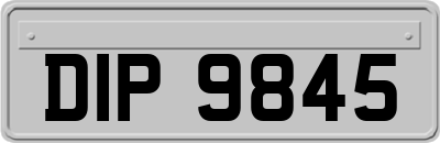 DIP9845
