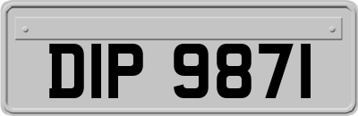 DIP9871
