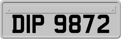 DIP9872