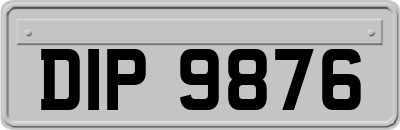 DIP9876