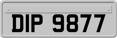 DIP9877