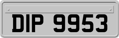 DIP9953