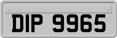 DIP9965