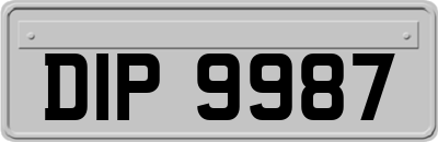 DIP9987