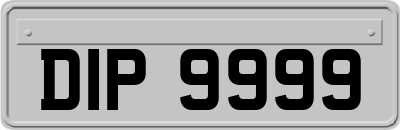 DIP9999