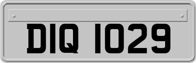 DIQ1029