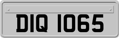 DIQ1065