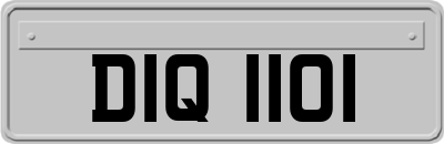 DIQ1101